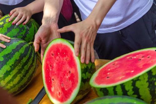 大学吃瓜群,揭秘校园里的“八卦风云”