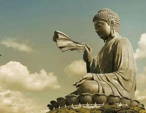 佛说瓜怎么吃,品瓜悟道,养生之道