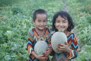 新疆的吃瓜群众,瓜香四溢的市井生活