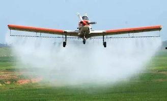 蝗虫吃瓜,自然界的奇妙生态现象