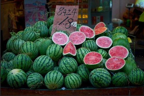 新世纪吃瓜视频,揭秘娱乐圈幕后故事