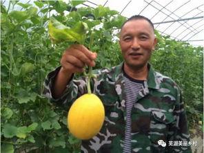 福利吃瓜群,揭秘网络社交圈的甜蜜诱惑与风险挑战