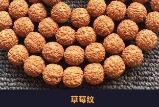 小金刚吃瓜,小金刚的瓜界探险记