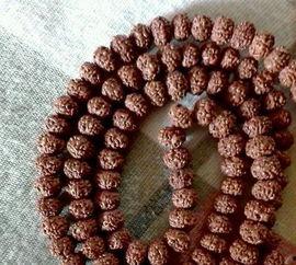 小金刚吃瓜,小金刚的瓜界探险记