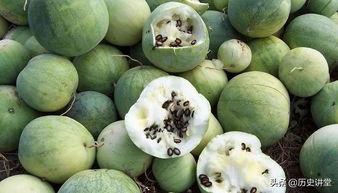 阿姨嗑瓜子吃瓜,揭秘生活中的小确幸