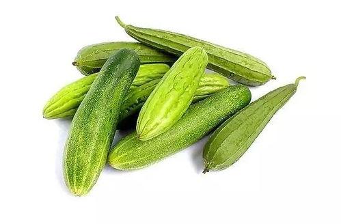 丝瓜游戏吃瓜游戏,趣味吃瓜，畅享欢乐时光