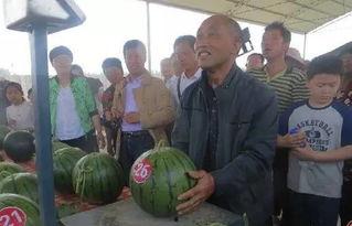 ag吃瓜群众,网络舆论场中的新势力