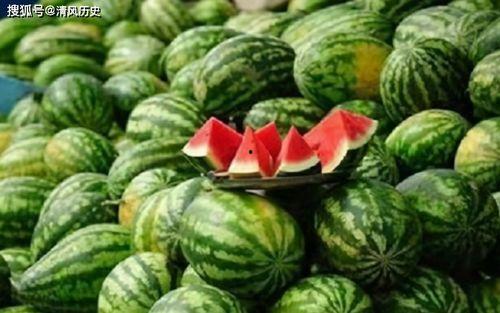 吃瓜地址是多少,吃瓜达人追踪热点,揭秘神秘吃瓜地址背后的故事