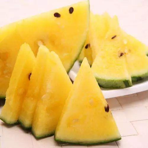 吃瓜地址是多少,吃瓜达人追踪热点,揭秘神秘吃瓜地址背后的故事