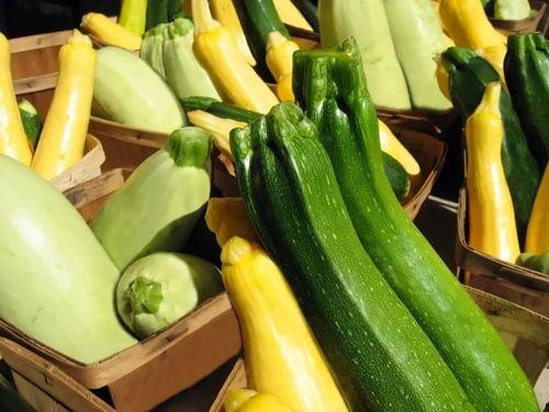 鄭江南吃瓜,揭秘娱乐圈幕后真相