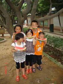 朝阳观众吃瓜,观众吃瓜盛宴背后的故事