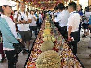 朝阳观众吃瓜,观众吃瓜盛宴背后的故事