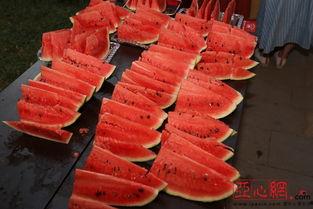 乌市吃瓜群,揭秘城市生活百态