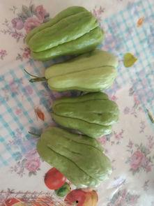 吃瓜界大神,揭秘娱乐圈幕后真相