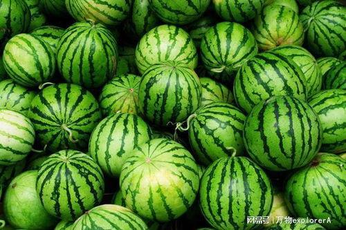 mm吃瓜,mm吃瓜背后的真相与内幕